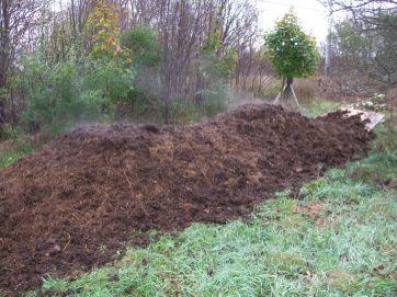 What makes good compost?