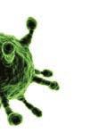 Solutions to Key Issues, from BES Healthcare The Issues: Healthcare Acquired Infections (HAI s) are becoming more prevalent in the community. Since 2010, there are now more cases of E.
