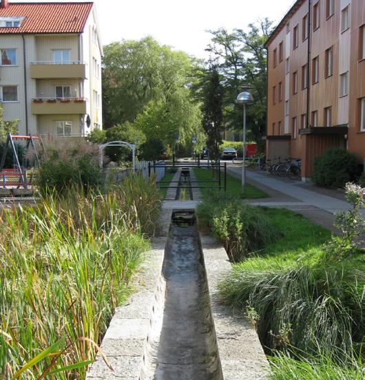 species that are adapted to local conditions; l) ensure stormwater is filtered through rain gardens when possible and discharged into the stormwater system improving overall quality, reducing peak