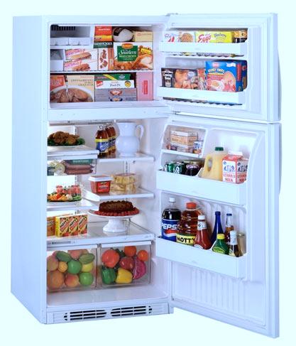 capacity Equipped for optional automatic icemaker Enclosed Fresh Food Door Shelves provide extra storage protection, keeping small items secure on the door shelf. TBX18JAB 18.2 cu. ft.