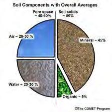 Importance of Organic Matter Nature adds organic matter from the top Soils that have 5% organic matter can hold 5 times the amount of water as soils
