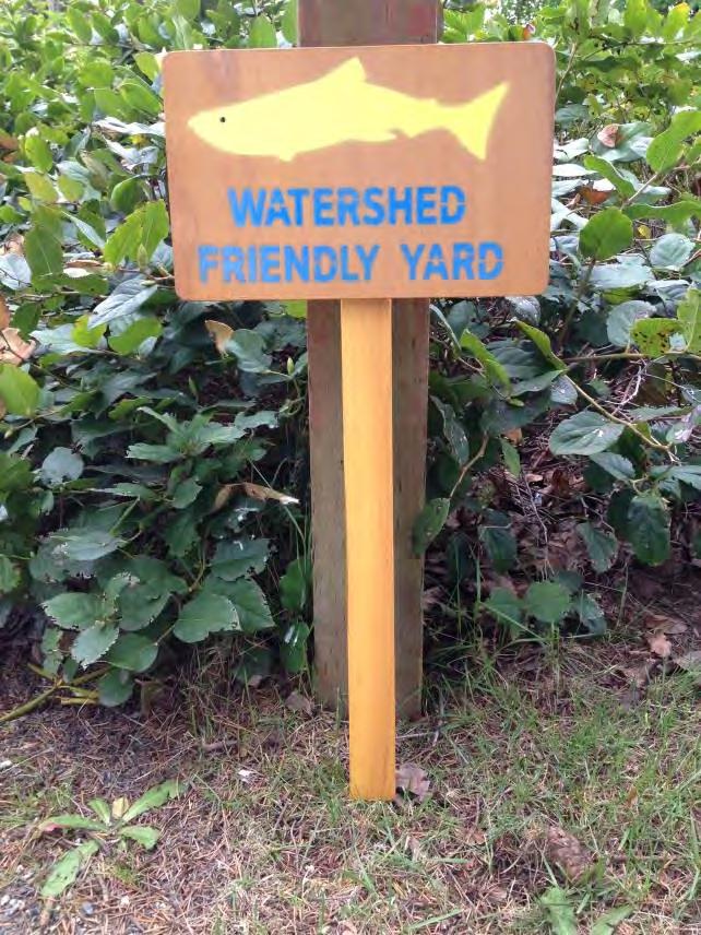 Watershed Friendly Yard Campaign Incorporating features such as a golden lawn, native plantings, xeriscaping, etc.