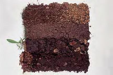 Soil Texture The first thing people think about when describing soil Is it clayey, sandy, rocky?