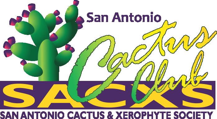 The San Antonio Cactus and Xerophyte Society was organized in 1977.