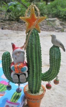 SACXS Cactus Show