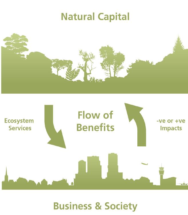 4.4 What is our overarching approach to delivering the vision? 4.4.1 We are working closely with Natural England who are the government agency responsible for the natural environment in England,