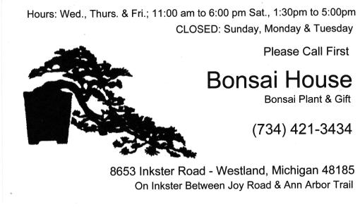 Ann Arbor Bonsai