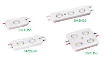 SIGNAGE: LED MODULES Item # Description Wattage CCT Lumens Normal Output Modules SM1N65 1-LED module 0.36 6500K 30 SM2N65 2-LED module 0.