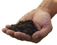 What is Soil? This definition is from the Soil Science Glossary (Soil Science Society of America).