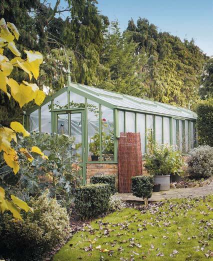 timber lean-to greenhouses as possible, they are not fussy