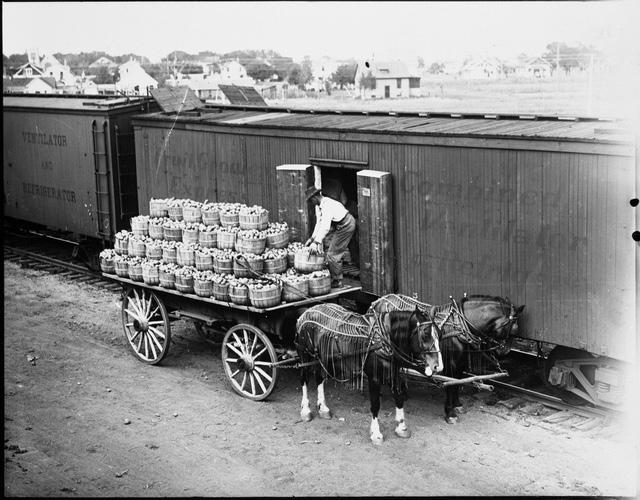 4 Visit us online at LRT station panels to tell northern Hennepin County history Potatoes with freight rail: Photo courtesy of Minnesota Historical Society Panels being developed for the Blue Line
