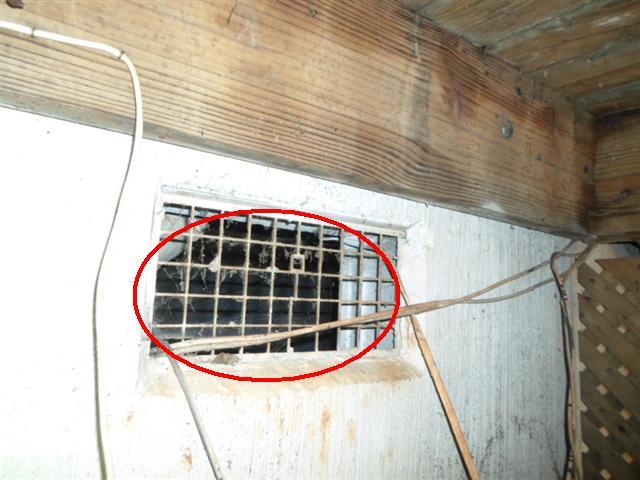 4.1 (1) Several crawl space vent cover screens were torn or missing. Repair. 4.1 Item 1(Picture) missing screen 4.1 (2) Part of the vapor barrier was missing in the crawl space.