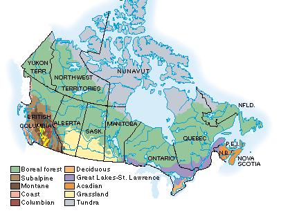 1 INTRODUCTION The boreal forest zone is a contiguous band of coniferous and deciduous trees that stretches across most of northern Canada and part of Alaska (the Boreal Forest Network n.d.).