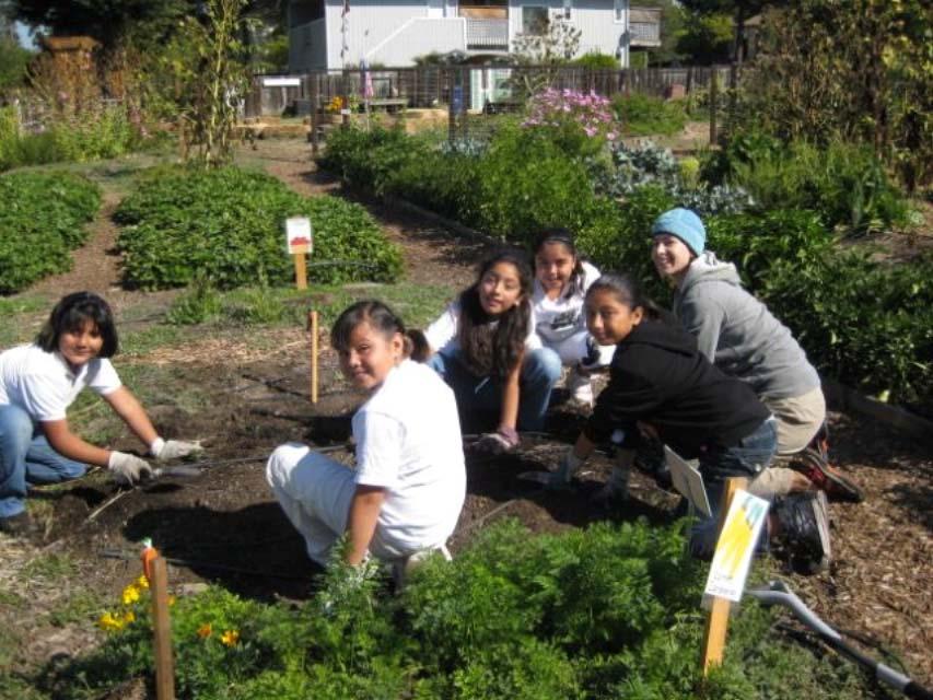 SCHOOL GARDENS SONOMA COUNTY Photo: Landpaths Bayer Farm March 2012 A Survey of School Gardens in Sonoma County, California Made possible by the dedication and collaboration of