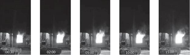 5, 2, 5, 10 and 15 min after the start of the test. Figure 9 shows fire propagation behaviours in specimens of aluminium composite panel with fireretardant polyethylene core.