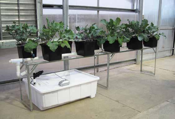 112529 PolyMax H1-10 Dutch Bucket System *Actual system may differ. PolyMax Dutch Buckets Versatile PolyMax Dutch Buckets are ideal for both small- and large-scale hydroponic growing.