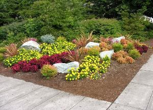 c. Landscaping should not create isolated areas or areas that are not visible from adjacent public and private space for safety reasons. d.