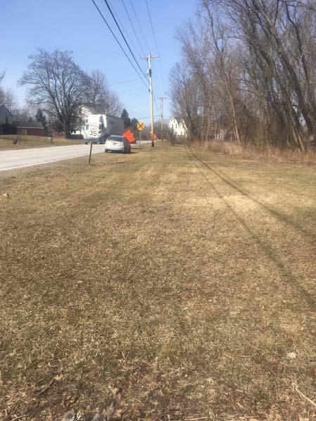 A vegetated swale along the north side of Cold River Rd would help to redirect roadside drainage to