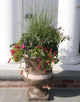 Less costly and disruptive than new plantings or construction, containers can be placed almost anywhere you wish to add a splash of color or soften hard features.