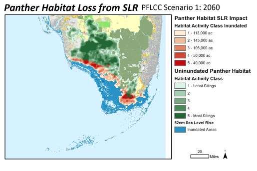 Impact Analysis Examples for Florida Panther SLR: Sea Level Rise, 52cm rise in sea