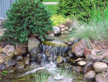 Unlike pools and hot tubs, you will use natural products instead of chemicals to maintain your pond. Following are a few guidelines to help you achieve maximum enjoyment.
