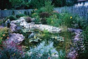 Pond Owners Maintenance Information (continued) natural food that is present in your pond. However, feeding your fish is fun and relaxing!