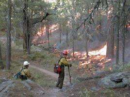 Implications for Management A single action may improve one Quality while degrading another Example: prescribed burning Prescribed burning may improve the quality Prescribed burning degrades the