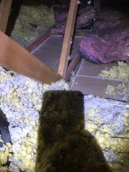 Rodent Insulation missing Indications of Rodent activity.