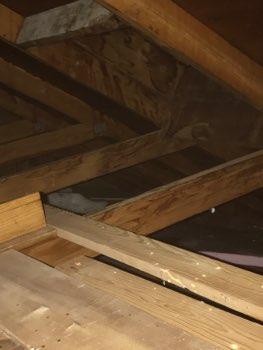 Ventilation Previous water penetration at skylights Ventilation appeared adequate