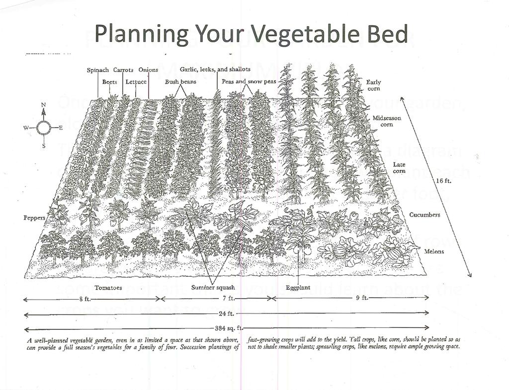 Once you have chosen the location of your garden, plot and measure the exact dimensions. Then, using a large sheet of paper, make a diagram of the garden to map out where you will plant each crop.