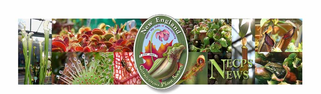NEW ENGLAND CARNIVOROUS PLANT SOCIETY June 2007 Newsletter NECPS s June 2007 meeting will be held on SATURDAY JUNE 9 TH at 12:30 PM at Roger Williams Park Botanical Center (Greenhouses) 1000 Elmwood