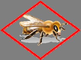 PROTECTION OF POLLINATORS APPLICATION RESTRICTIONS EXIST FOR THIS PRODUCT BECAUSE OF RISK TO PLLINATORS.