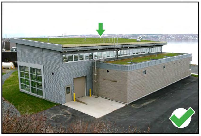 (3) Green Roofs Green roofs are encouraged and should be designed to mitigate stormwater