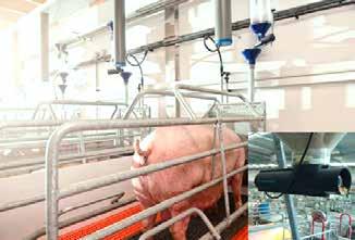 NEU IM LIEFERPROGRAMM NEDAP FEEDING FOR FARROWING PENS With the Velos Compact Feeder it is possible to