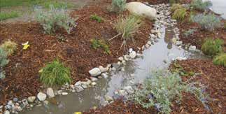 Simple rain garden recipe INGREDIENTS: YOUR SITE PLAN SHOVELS & RAKES COMPOST, WORM CASTINGS LIVING WOODCHIP MULCH HOSE WITH SPRAY ZZLE BIOSWALE PLANTS (see #7 below) Call DIG ALERT (811) at least