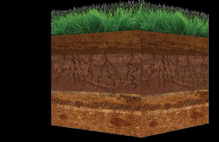 Soil Lasagna Recipe STEPS: 1Deal with the turf grass you have. If it s cool season turf grass (stays green all year), say goodbye, give it a good soaking of water and go to Step 3.