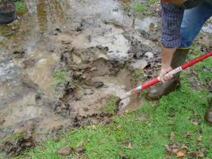Backyard Wetland Install in an area where there is a naturally occurring wet