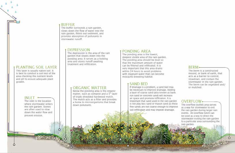 VEGETATED SYSTEMS Vegetative systems primarily focus on reducing water quality impacts and less on reducing flooding.