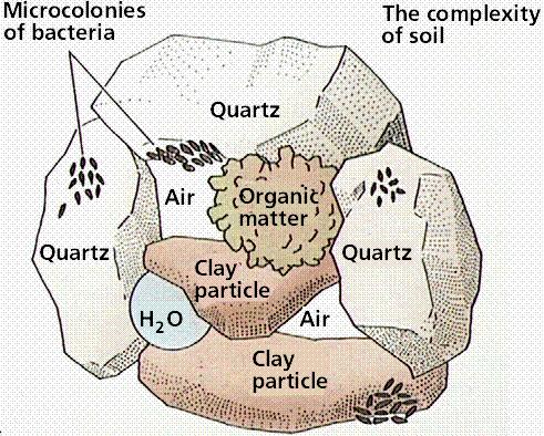 II. SOIL PHYSICAL PROPERTIES - Structure Aggregate = secondary soil