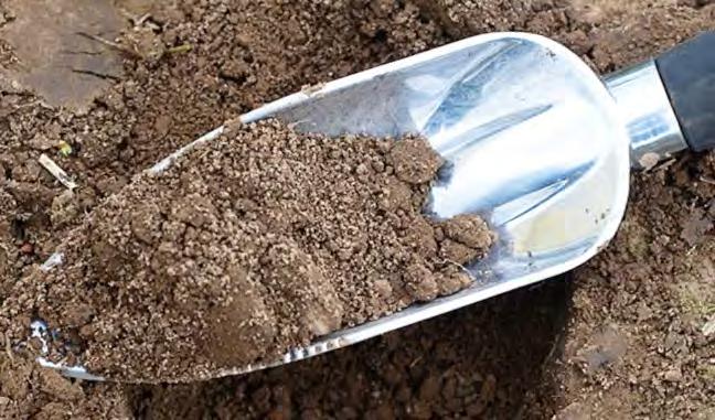 Steps for Lead Immobilization 1. Remove all existing vegetation and debris from the soil using a hoe, shovel, rake, or other appropriate tools. 2. Spread fishbone or spray fertilizer over the soil.