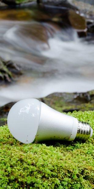 LED lighting is low maintenance and eco-friendly. And as it becomes more prevalent, the quality has really improved!
