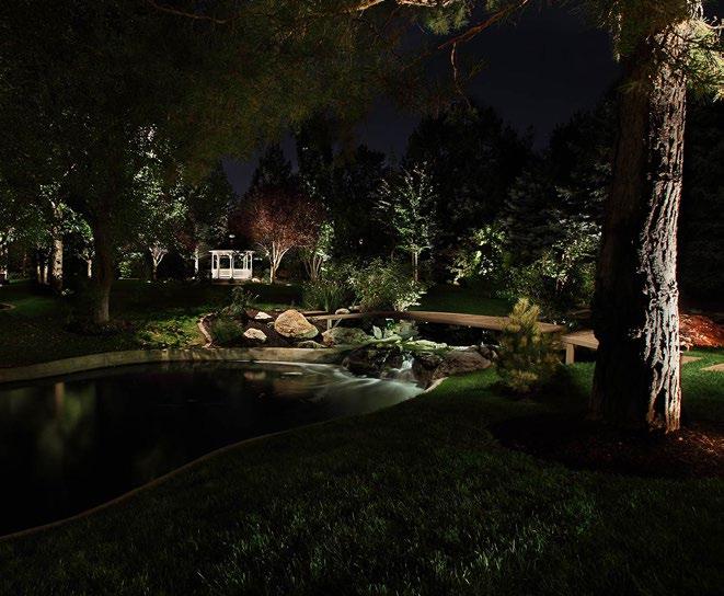 Needs To establish your needs, case your property by night. Take note of the areas in your landscape that represent a safety or security risk in the dark.