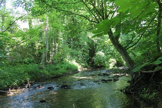 mill dams Mature riparian woodland The landscape provides good recreational opportunities in places An ecologically rich