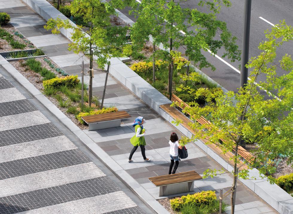 ROUSSEAU STREET 5. Provide for a single row of large street trees in the boulevard and/or tree grates, layered with a mix of grasses and/or low shrubs. 6. Provide a separate minimum 2.