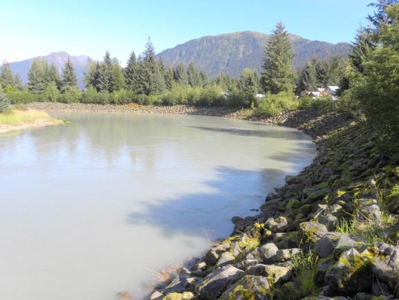 d) Riverbend Revetment Riparian Enhancement, Mendenhall River The goal of this project was to establish native plant community on the revetment constructed