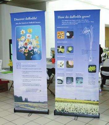 ADS Display Banners at the