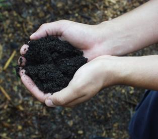 Composting Turning organic materials we throw away everyday into a useful soil enhancer