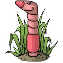 Earthworms Move into the pile when it cools Process and