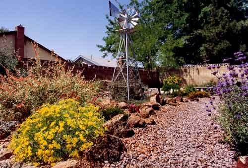 In general, the best time to plant in Southern California is in the winter or spring, and if care is taken, you can plant successfully in the summer and fall, as well.
