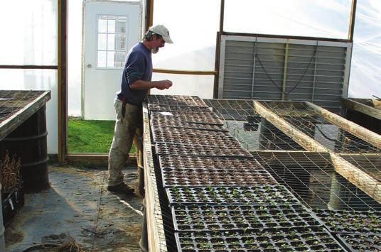 and pots. If greenhouse space is limited, a work area can be set up outside the greenhouse in an adjacent head house or covered storage area.